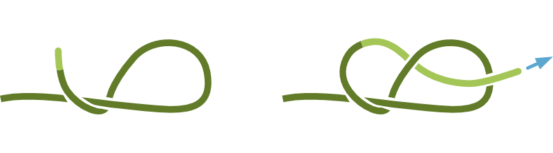 8の字結び 8の字結び